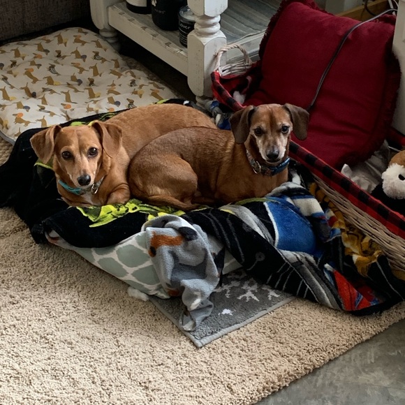 Meet your Posher, Andrea - Picture 5 of 6